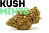 kush mints strain bud