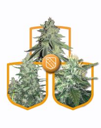 White Strain Variety Pack