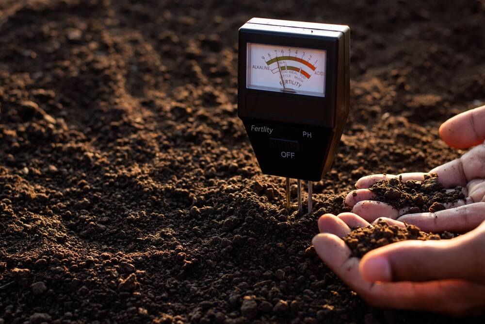 a man holding some soil, testing the pH level