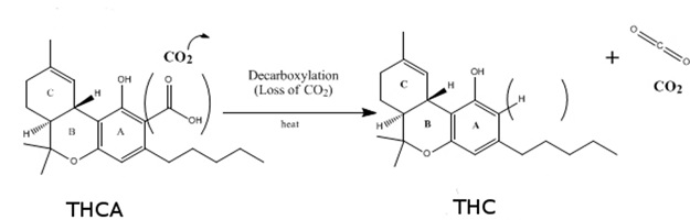 converting THCA to THC by decarbing weed