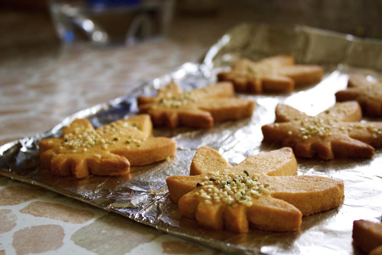 Christmas Marijuana Edibles - Xmas Sugar Cookies