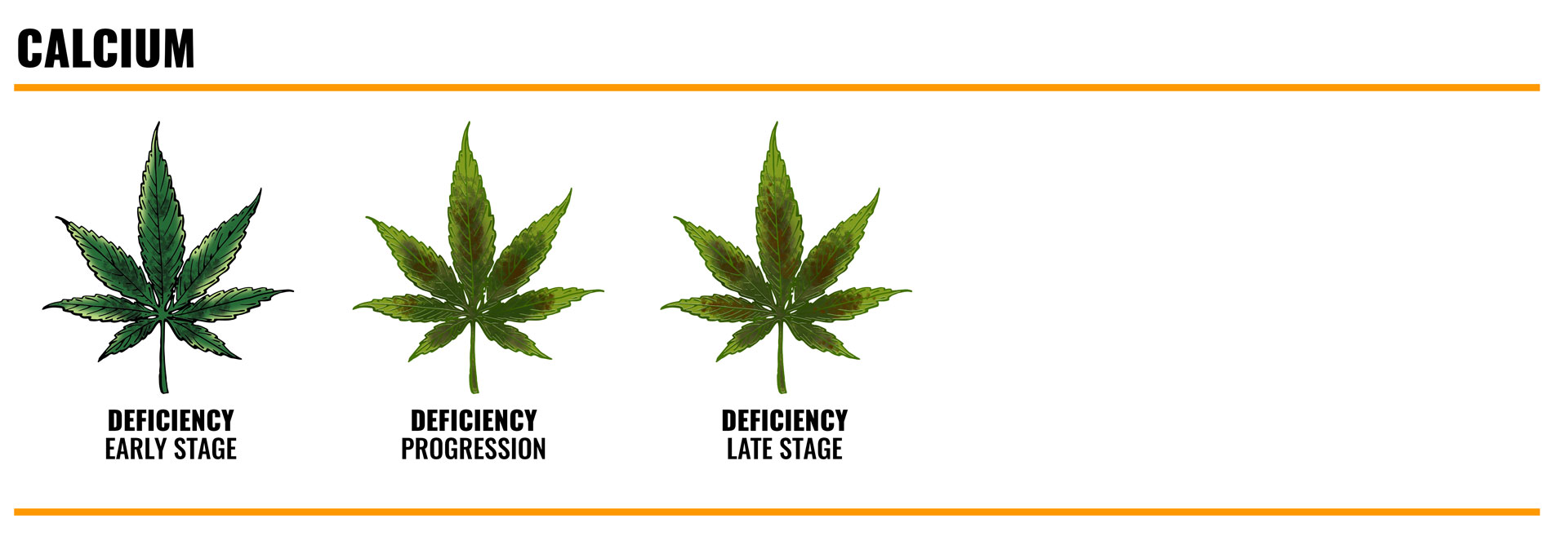 calcium deficiency in cannabis