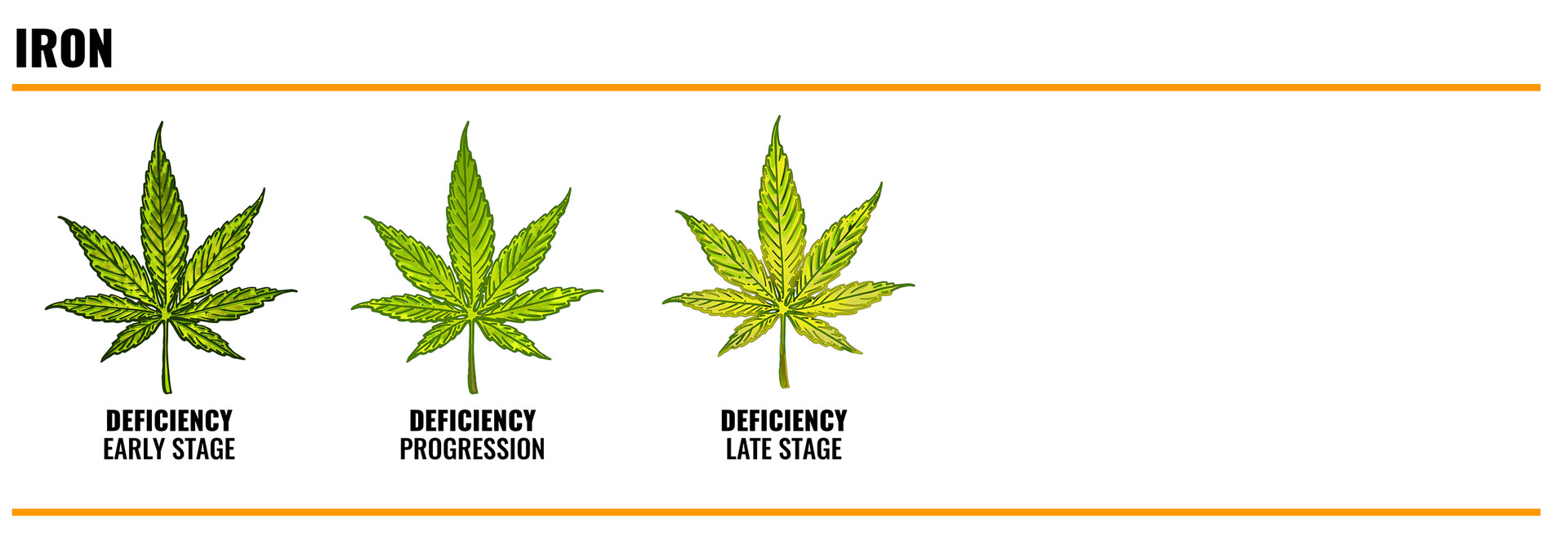 iron deficiency in cannabis