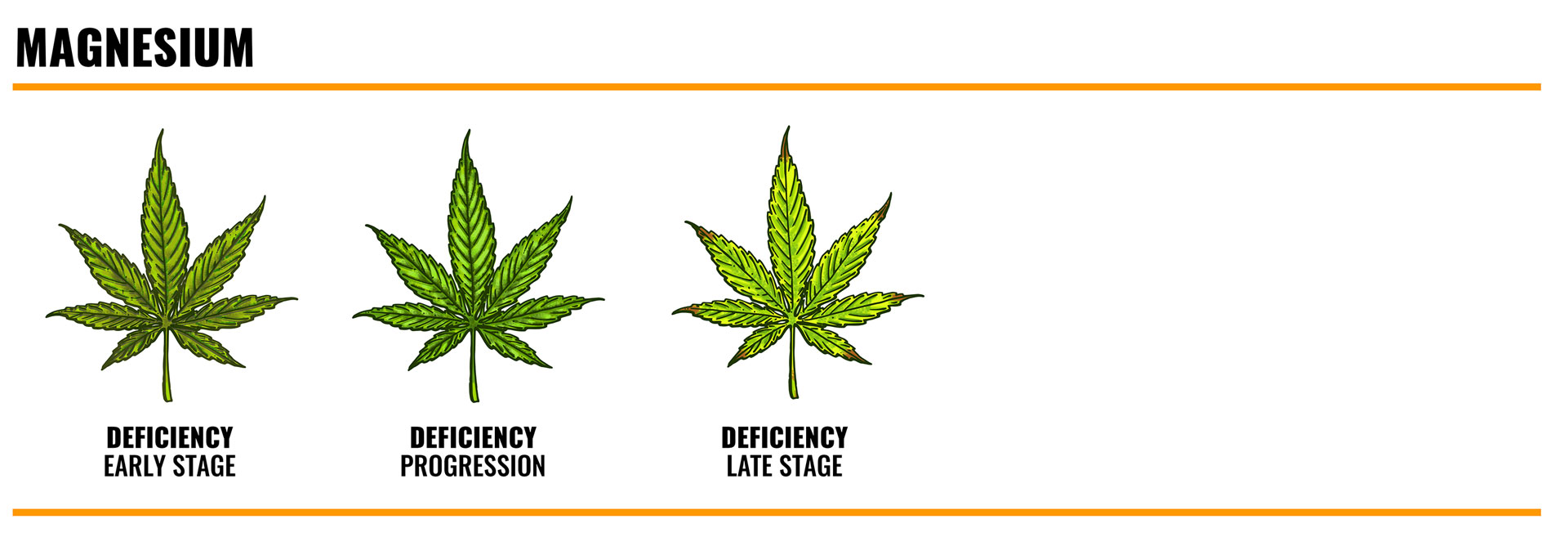 magnesium deficiency in cannabis