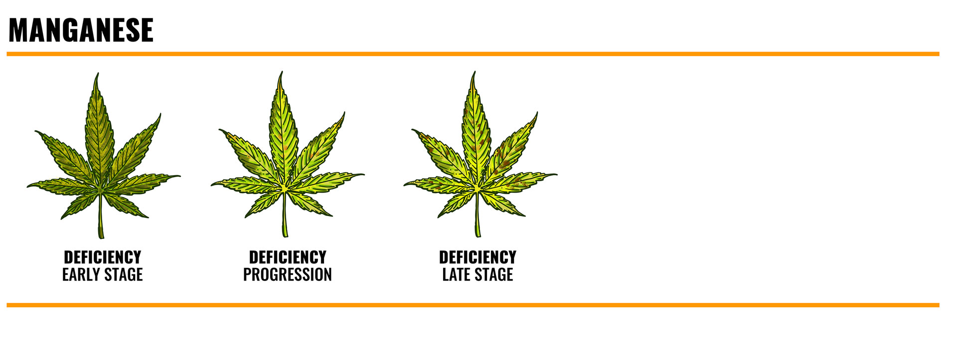 manganese deficiency in cannabis