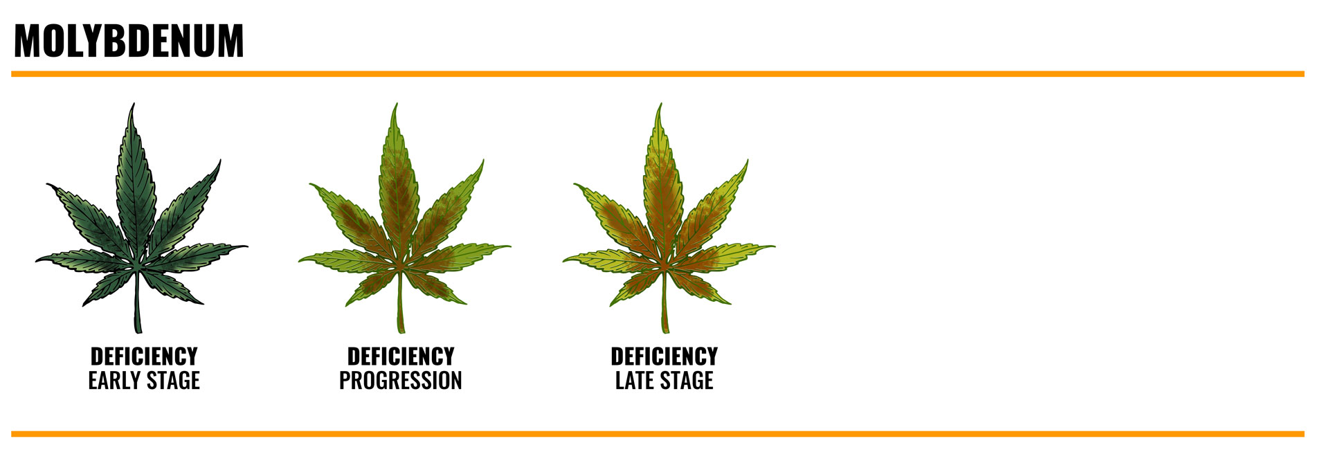 Molybdenum deficiency in cannabis