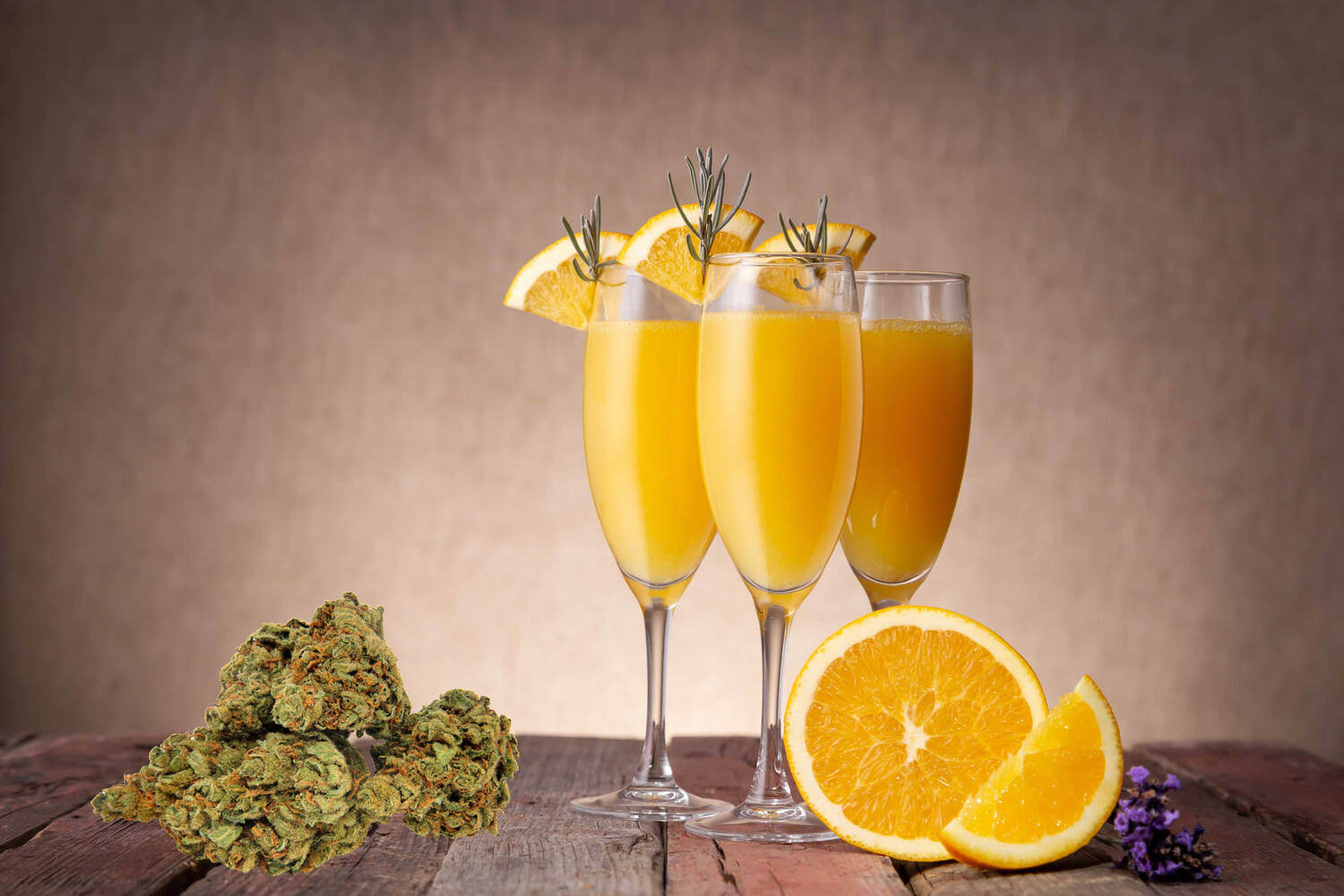 Where Did The Mimosa Strain Originate?