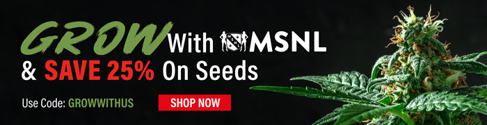 Grow with MSNL coupon code