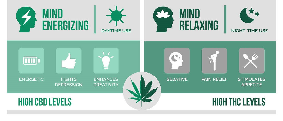 representation of sativa and indica effects in cannabis