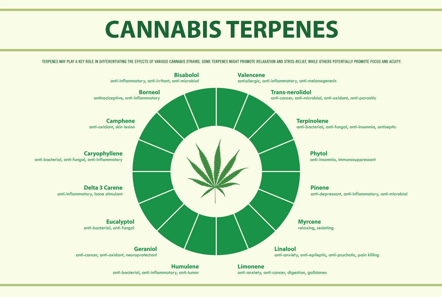 representation of effects in cannabis terpenes