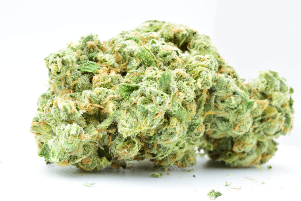 White Runtz Strain Review – Effects, Taste & Grow Guide