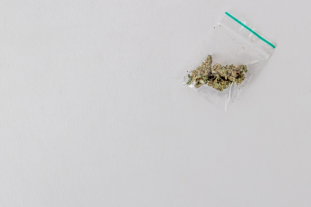 a gram of weed in an airtight sealed bag on a white background