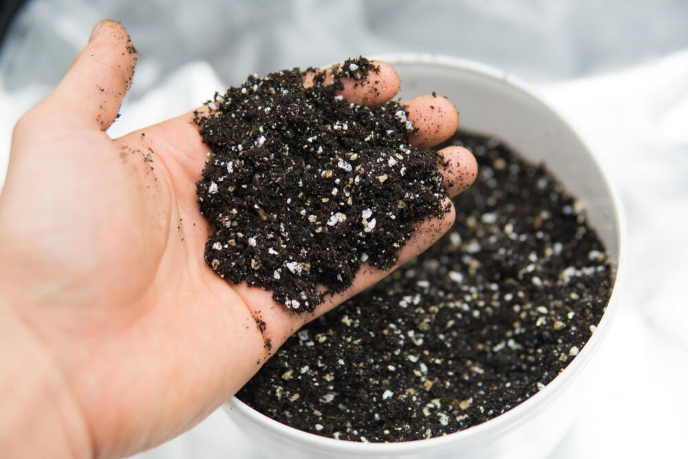 a man holding some organic soil mix including perlite and vermiculite