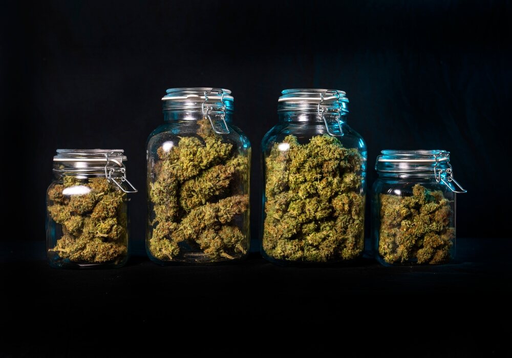 cannabis bud stored appropriately in glass jars