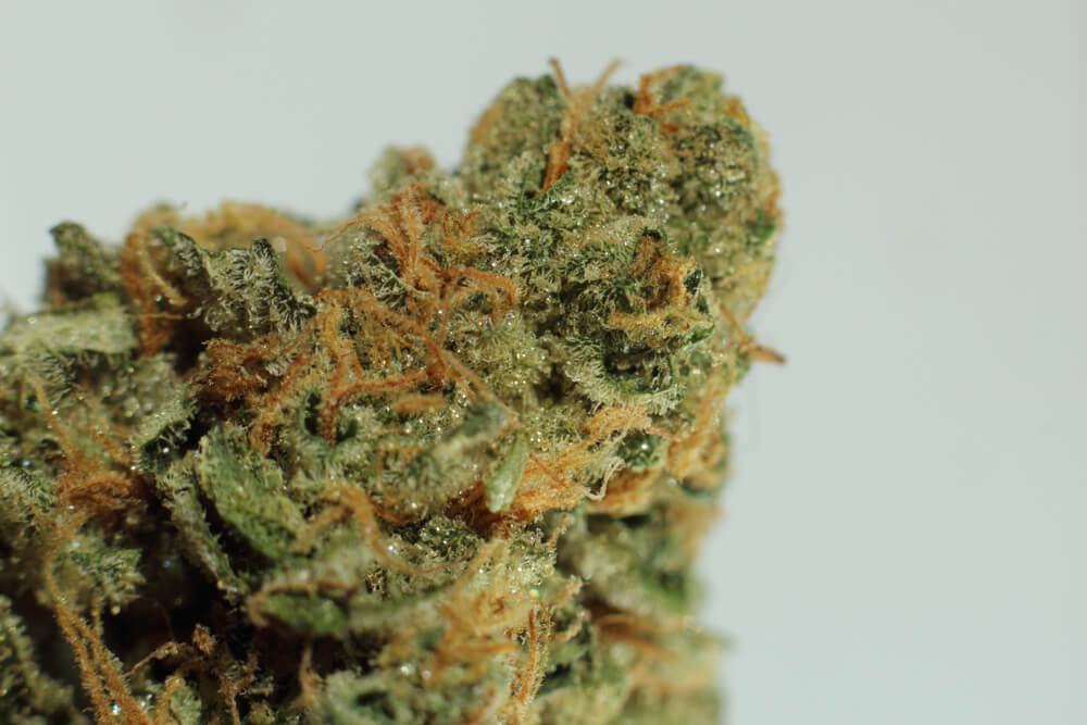 The Complete Chemdawg Strain Review