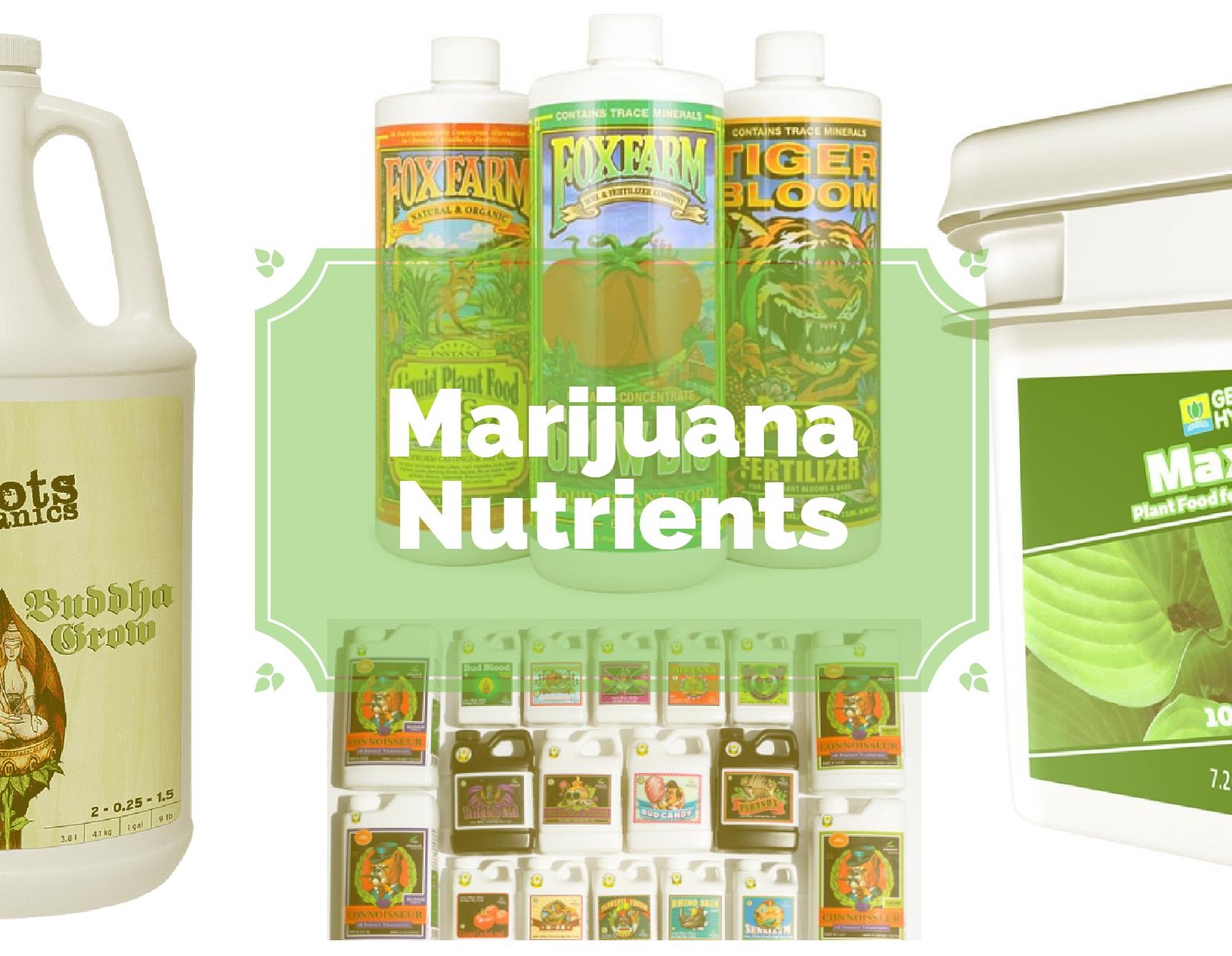 What are the best cannabis nutrients?