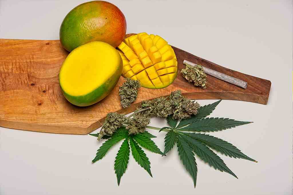 mangoes and weed