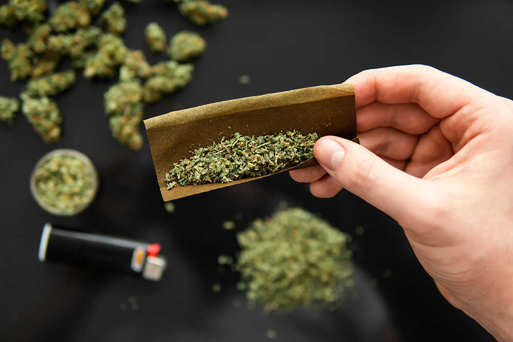 Cannabis buds in hand on black background Background for Copy space. Close up. CBD and THC on buds in cannabis Herb grinder Fresh marihuana. Blunt and Lighters.