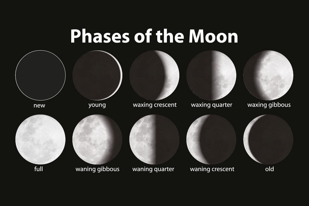 Illustration of the phases of the moon