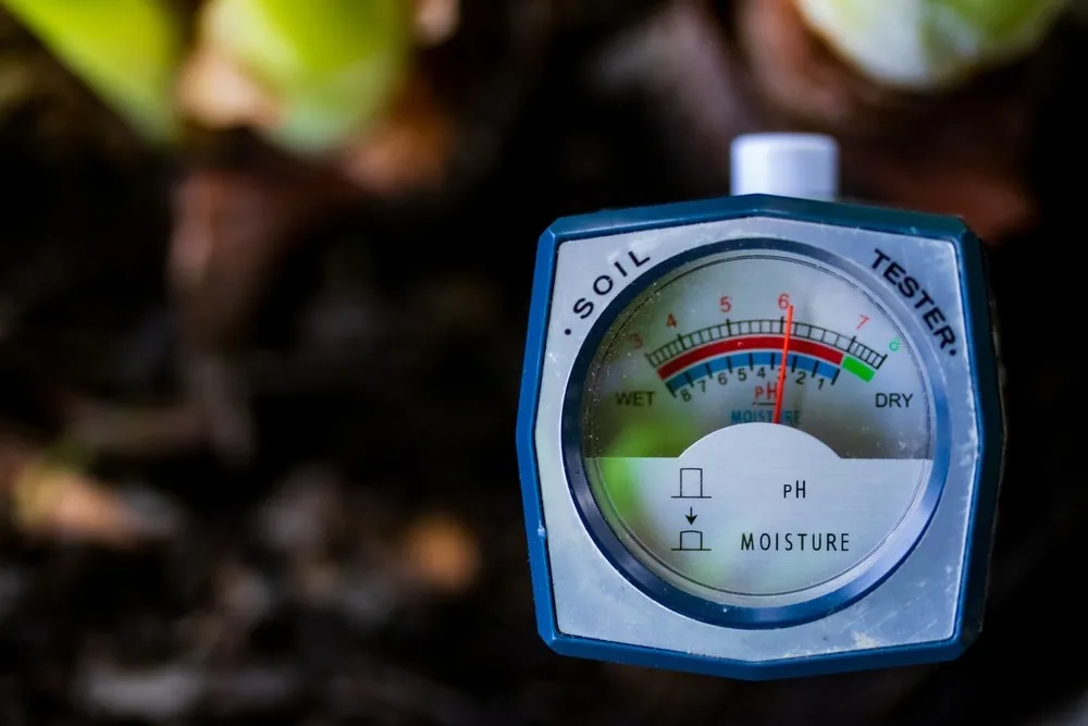 a close up photo of a pH tester in soil