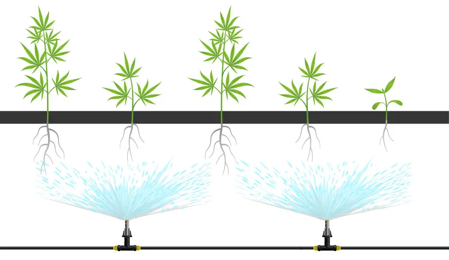 Aeroponic growing diagram