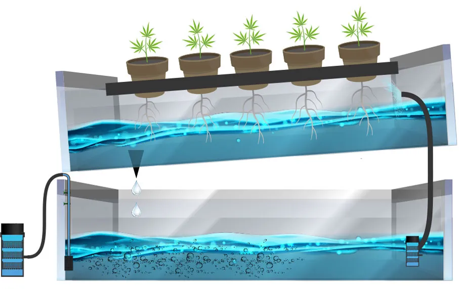 diagram of NFT hydroponic system