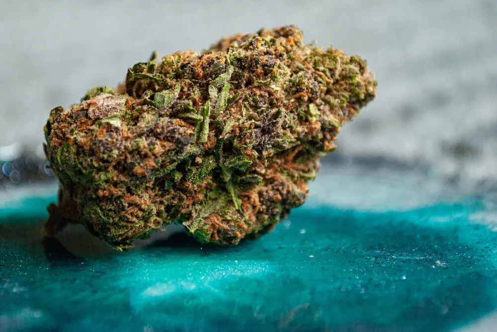 Is Forbidden Fruit A Rare Strain? 