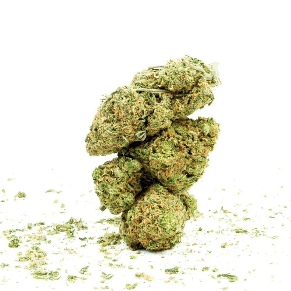 Cannabis bud