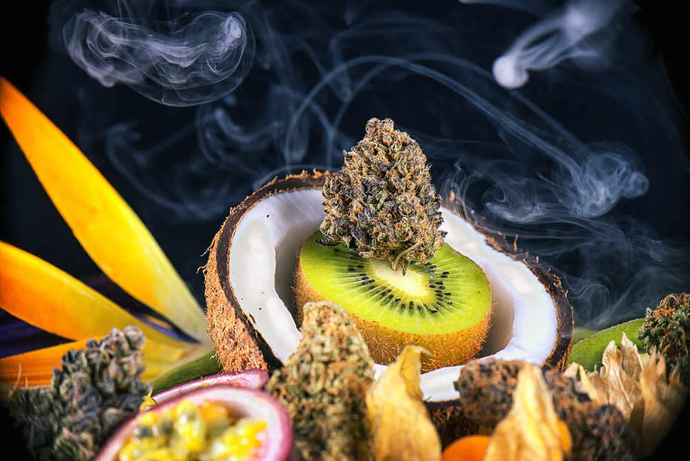 What do terpenes do in weed?