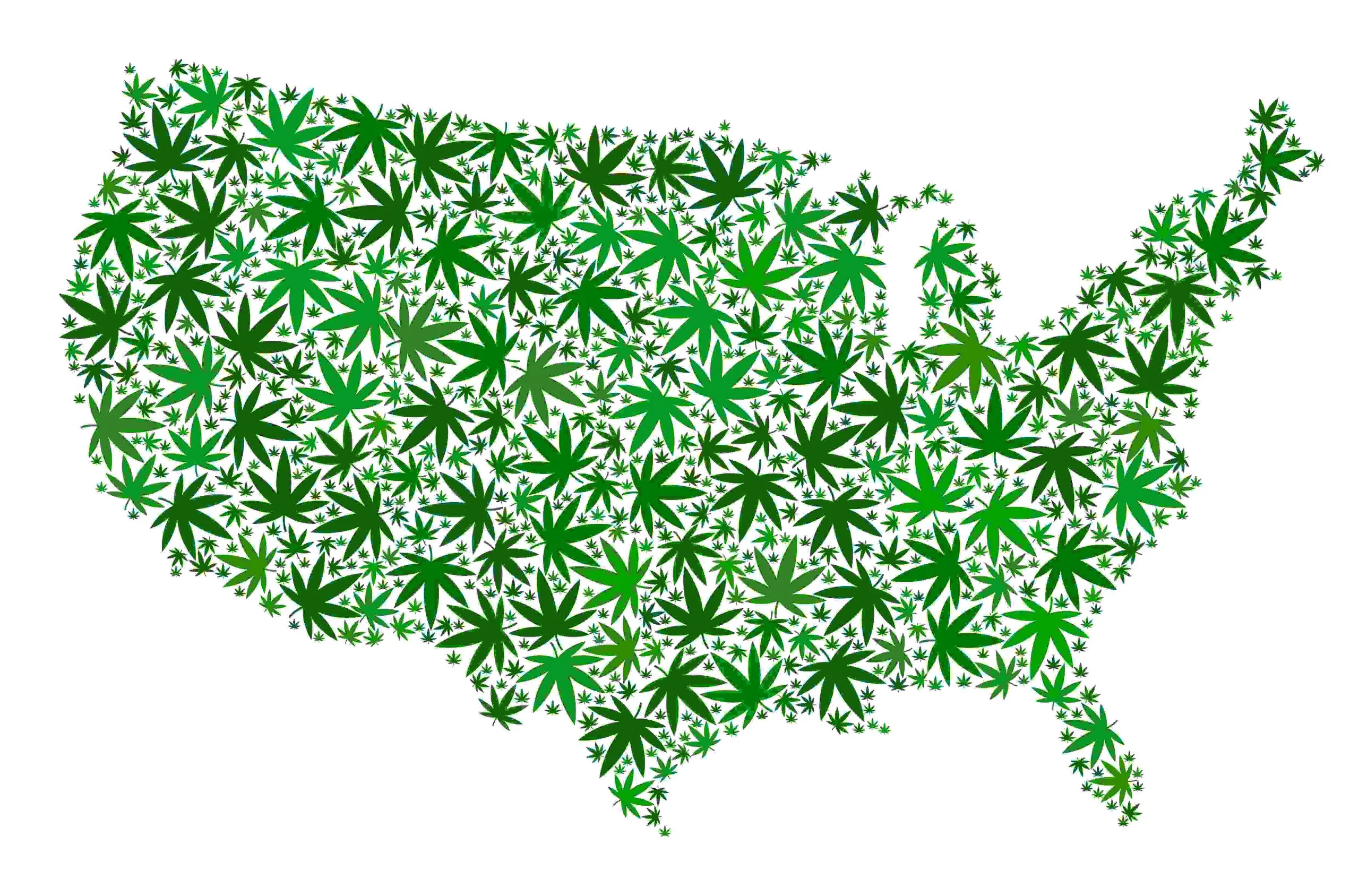 Which states is growing weed legal?