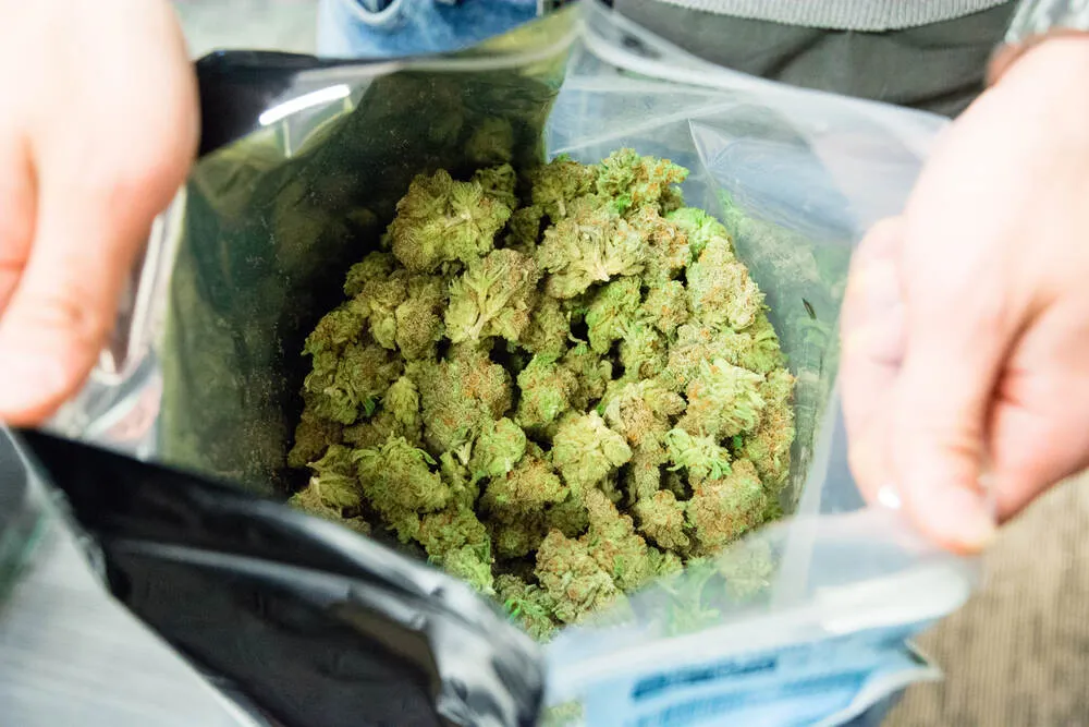 What does an ounce of weed look like?