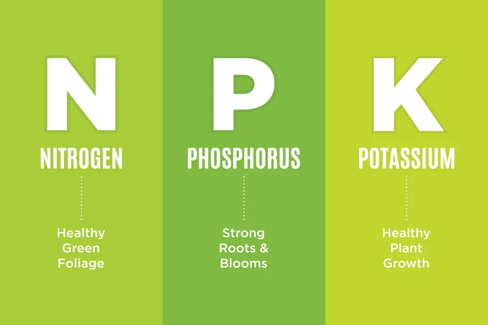 an image showing 3 sections of N P and K and the benefits each nutrient provides